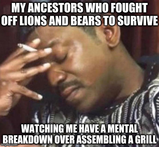 MY ANCESTORS WHO FOUGHT OFF LIONS AND BEARS TO SURVIVE; WATCHING ME HAVE A MENTAL BREAKDOWN OVER ASSEMBLING A GRILL | image tagged in ancestors,grill,lions and bears,mental illness,lol | made w/ Imgflip meme maker