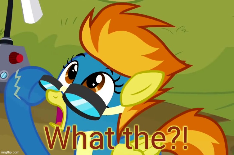 Astounded Spitfire (MLP) | What the?! | image tagged in astounded spitfire mlp | made w/ Imgflip meme maker