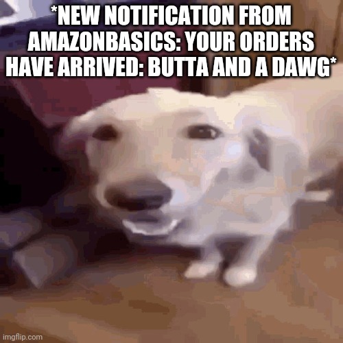 Butta Dawg | *NEW NOTIFICATION FROM AMAZONBASICS: YOUR ORDERS HAVE ARRIVED: BUTTA AND A DAWG* | image tagged in butterdog | made w/ Imgflip meme maker