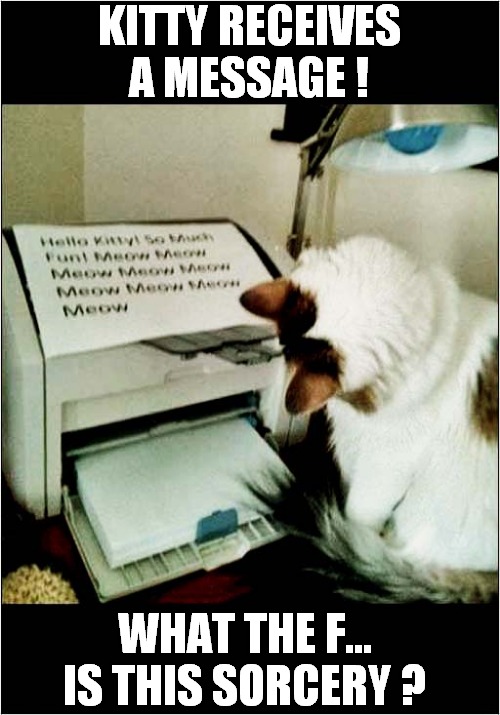 Confuse A Cat ! | KITTY RECEIVES A MESSAGE ! WHAT THE F... IS THIS SORCERY ? | image tagged in cats,printer,wtf,sorcery | made w/ Imgflip meme maker