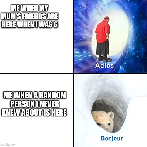 Adios Bonjour |  ME WHEN MY MUM’S FRIENDS ARE HERE WHEN I WAS 6; ME WHEN A RANDOM PERSON I NEVER KNEW ABOUT IS HERE | image tagged in adios bonjour | made w/ Imgflip meme maker