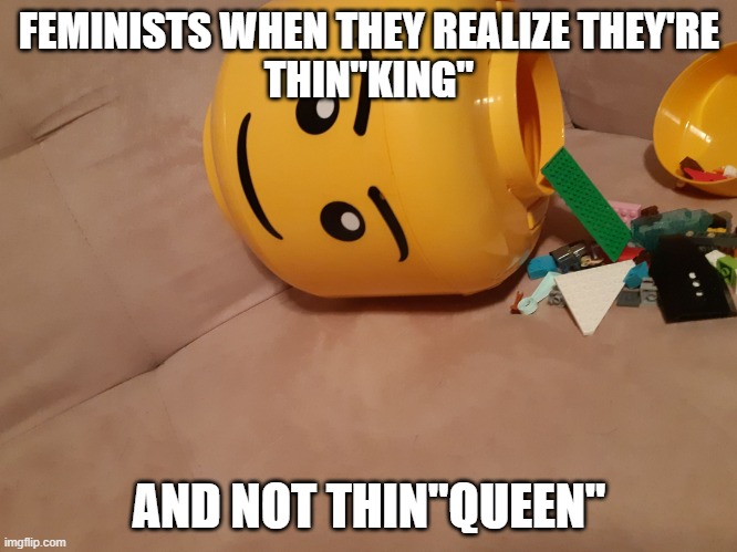  FEMINISTS WHEN THEY REALIZE THEY'RE
THIN"KING"; AND NOT THIN"QUEEN" | image tagged in brain dump,angry feminist,memes,twitter,cancel culture | made w/ Imgflip meme maker