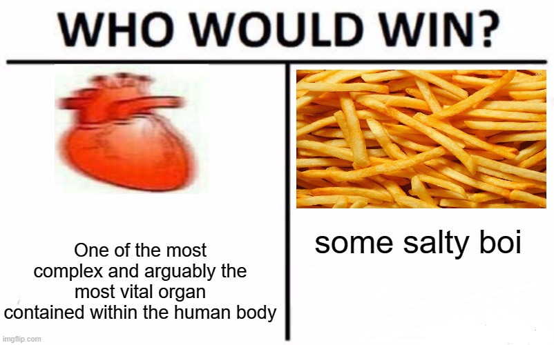 Who Would Win? | some salty boi; One of the most complex and arguably the most vital organ contained within the human body | image tagged in memes,who would win | made w/ Imgflip meme maker