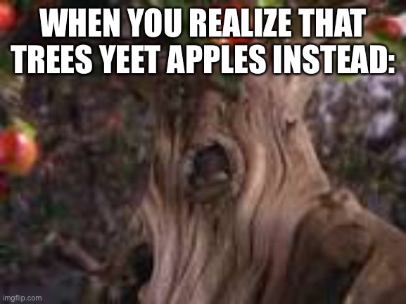 WHEN YOU REALIZE THAT TREES YEET APPLES INSTEAD: | made w/ Imgflip meme maker