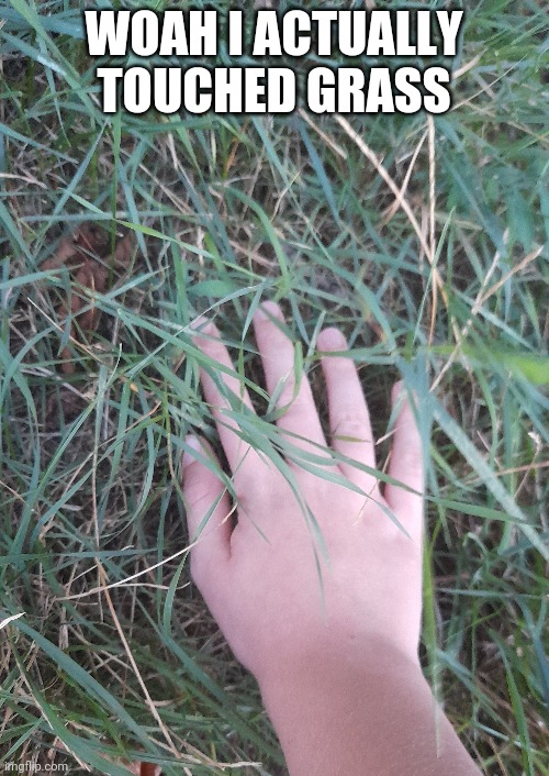 WOAH I ACTUALLY TOUCHED GRASS | made w/ Imgflip meme maker