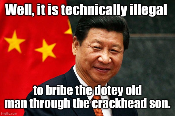 Xi Jinping | Well, it is technically illegal to bribe the dotey old man through the crackhead son. | image tagged in xi jinping | made w/ Imgflip meme maker
