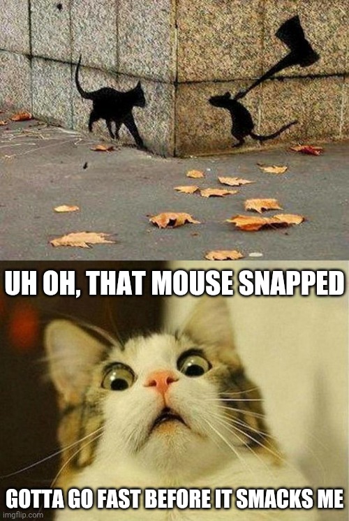 Cat and mouse | UH OH, THAT MOUSE SNAPPED; GOTTA GO FAST BEFORE IT SMACKS ME | image tagged in memes,scared cat,funny,meme,cats,mouse | made w/ Imgflip meme maker