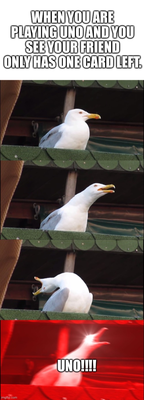 Inhaling Seagull Meme | WHEN YOU ARE PLAYING UNO AND YOU SEE YOUR FRIEND ONLY HAS ONE CARD LEFT. UNO!!!! | image tagged in memes,inhaling seagull | made w/ Imgflip meme maker