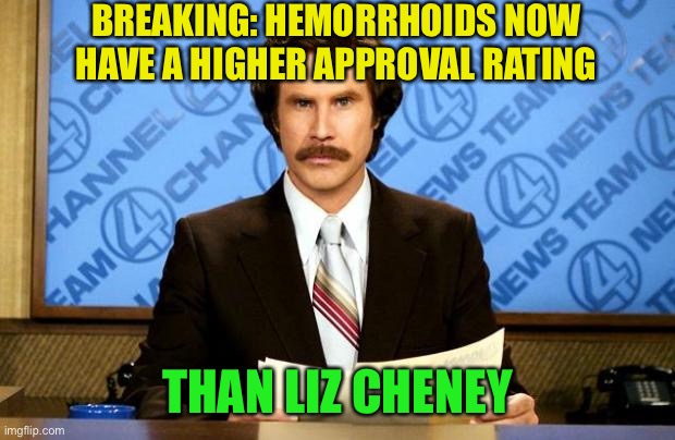 BREAKING NEWS | BREAKING: HEMORRHOIDS NOW HAVE A HIGHER APPROVAL RATING; THAN LIZ CHENEY | image tagged in breaking news | made w/ Imgflip meme maker