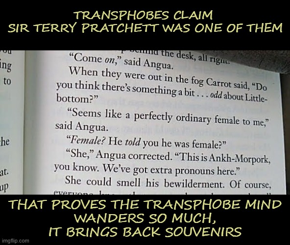 The transphope community claims Sir Terry Pratchett was one of them | TRANSPHOBES CLAIM 
SIR TERRY PRATCHETT WAS ONE OF THEM; THAT PROVES THE TRANSPHOBE MIND
WANDERS SO MUCH,
IT BRINGS BACK SOUVENIRS | image tagged in transgender,transphobic | made w/ Imgflip meme maker