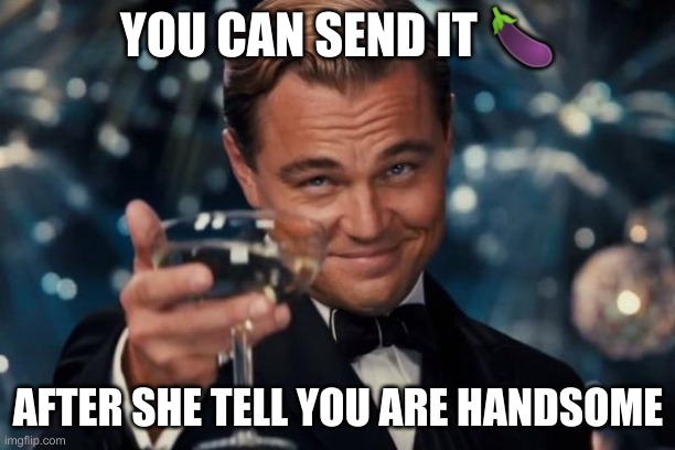 Leonardo Dicaprio Cheers Meme | YOU CAN SEND IT ? AFTER SHE TELL YOU ARE HANDSOME | image tagged in memes,leonardo dicaprio cheers | made w/ Imgflip meme maker