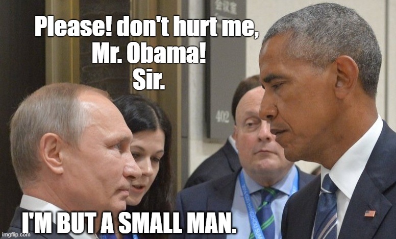 Who's the Boss? | Please! don't hurt me, 
Mr. Obama!
Sir. I'M BUT A SMALL MAN. | image tagged in putin,obama | made w/ Imgflip meme maker