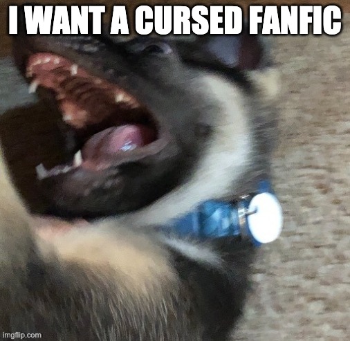 a | I WANT A CURSED FANFIC | image tagged in angy doggo | made w/ Imgflip meme maker