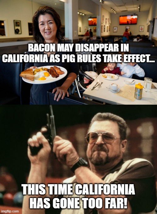 California Bacon Rules | BACON MAY DISAPPEAR IN CALIFORNIA AS PIG RULES TAKE EFFECT... THIS TIME CALIFORNIA HAS GONE TOO FAR! | image tagged in am i the only one around here,bacon,funny,politics | made w/ Imgflip meme maker