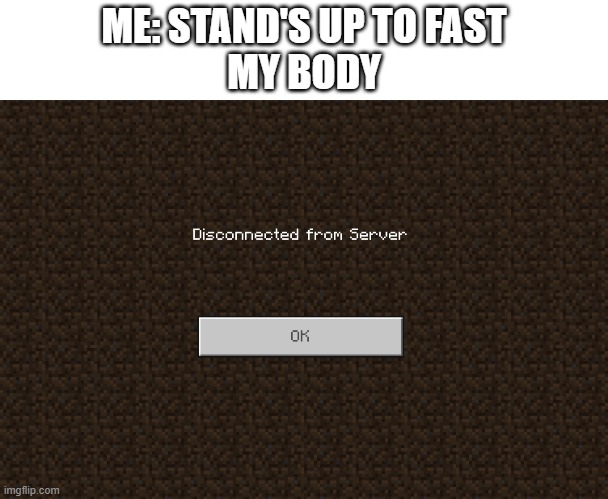 Disconnected From Server | ME: STAND'S UP TO FAST
MY BODY | image tagged in minecraft | made w/ Imgflip meme maker