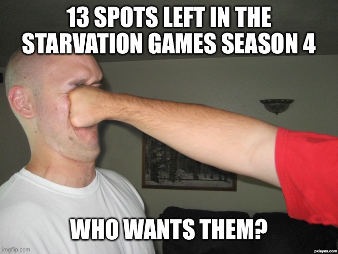 See nuys | 13 SPOTS LEFT IN THE STARVATION GAMES SEASON 4; WHO WANTS THEM? | image tagged in face punch | made w/ Imgflip meme maker