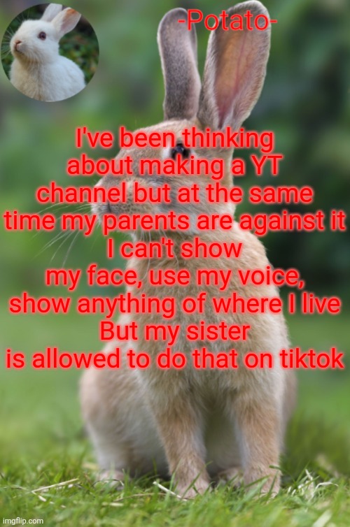 I'm confused | I've been thinking about making a YT channel but at the same time my parents are against it
I can't show my face, use my voice, show anything of where I live
But my sister is allowed to do that on tiktok | image tagged in -potato- rabbit announcement | made w/ Imgflip meme maker