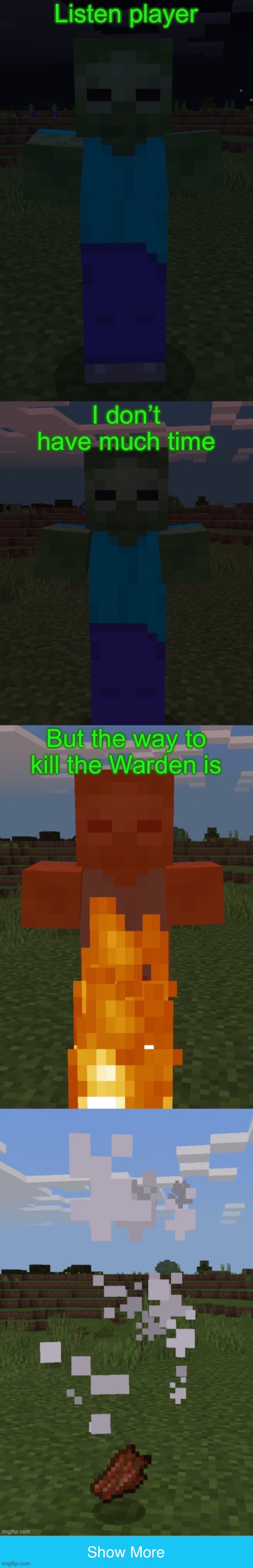 Below I wrote how to defeat it. | Listen player; I don’t have much time; But the way to kill the Warden is | image tagged in burning zombie,how to,defeat,the,nether,boss | made w/ Imgflip meme maker
