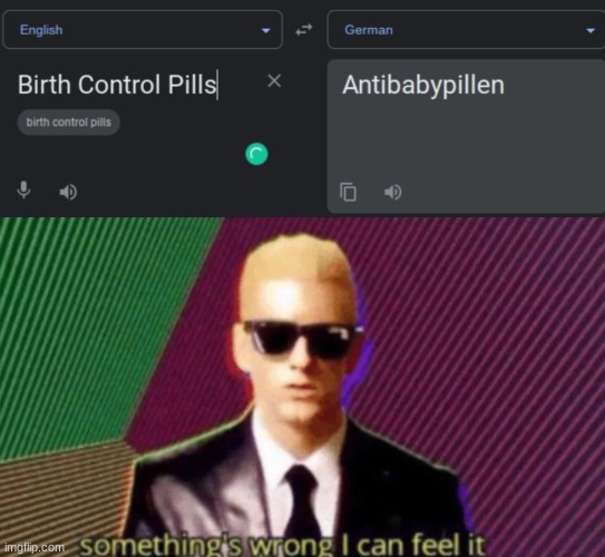 Birth Control Pills just happens to mean Anti Baby Pills in German. | image tagged in fun language | made w/ Imgflip meme maker