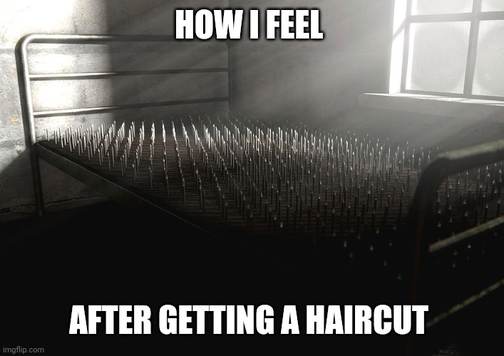 HOW I FEEL; AFTER GETTING A HAIRCUT | image tagged in hair | made w/ Imgflip meme maker