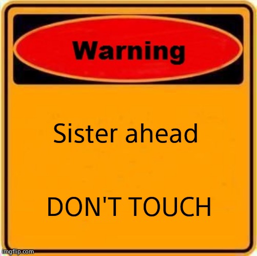 Warning Sign Meme | Sister ahead DON'T TOUCH | image tagged in memes,warning sign | made w/ Imgflip meme maker