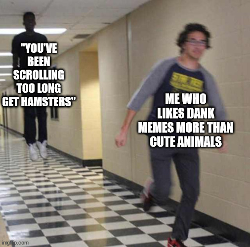 floating boy chasing running boy | "YOU'VE BEEN SCROLLING TOO LONG GET HAMSTERS" ME WHO LIKES DANK MEMES MORE THAN CUTE ANIMALS | image tagged in floating boy chasing running boy | made w/ Imgflip meme maker