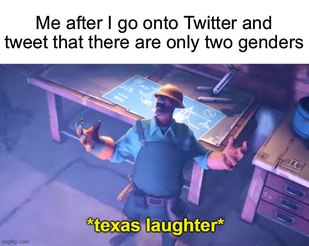 Turn of the notifications to really piss them off because you didn’t reply | Me after I go onto Twitter and tweet that there are only two genders | image tagged in yeeeeeeeeeeeeee haaaaw | made w/ Imgflip meme maker