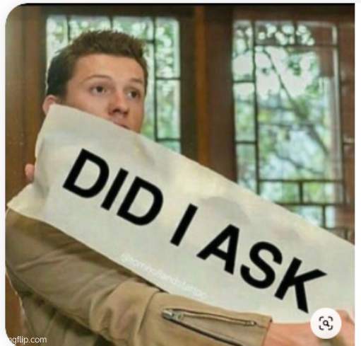 did i ask | image tagged in did i ask | made w/ Imgflip meme maker