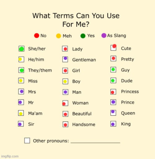 Just wanted to update this | image tagged in pronouns sheet,lgbtq,pronouns,slang | made w/ Imgflip meme maker