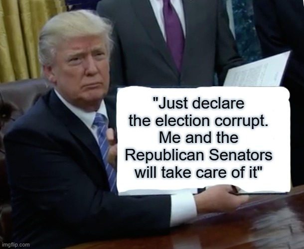 when a man says something like this, that should be a gigantic red flag | "Just declare the election corrupt. Me and the Republican Senators will take care of it" | image tagged in memes,trump bill signing | made w/ Imgflip meme maker