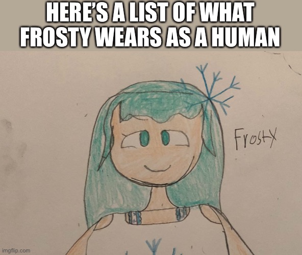 HERE’S A LIST OF WHAT FROSTY WEARS AS A HUMAN | image tagged in frosty | made w/ Imgflip meme maker