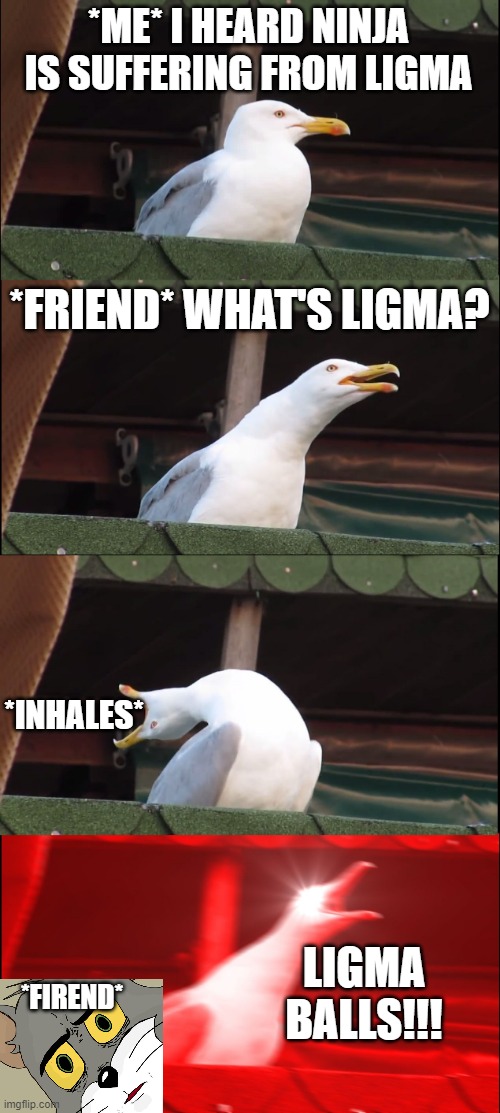 very old joke | *ME* I HEARD NINJA IS SUFFERING FROM LIGMA; *FRIEND* WHAT'S LIGMA? *INHALES*; LIGMA BALLS!!! *FIREND* | image tagged in memes,inhaling seagull | made w/ Imgflip meme maker