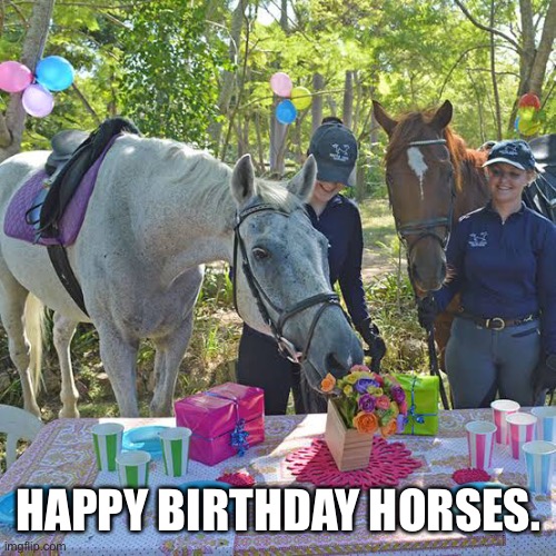 HAPPY BIRTHDAY HORSES. | image tagged in horse birthday party | made w/ Imgflip meme maker