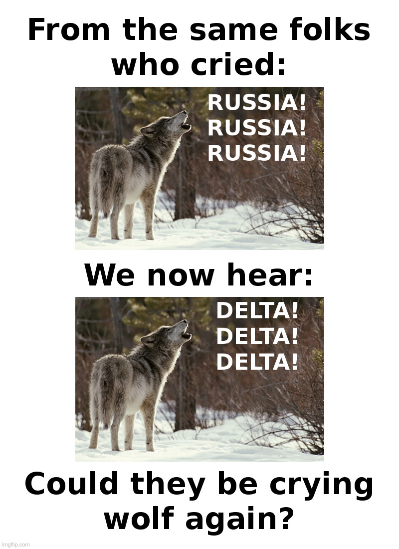 Could Democrats Be Crying Wolf Again? | image tagged in democrats,russia,covid,delta,echo,foxtrot | made w/ Imgflip meme maker