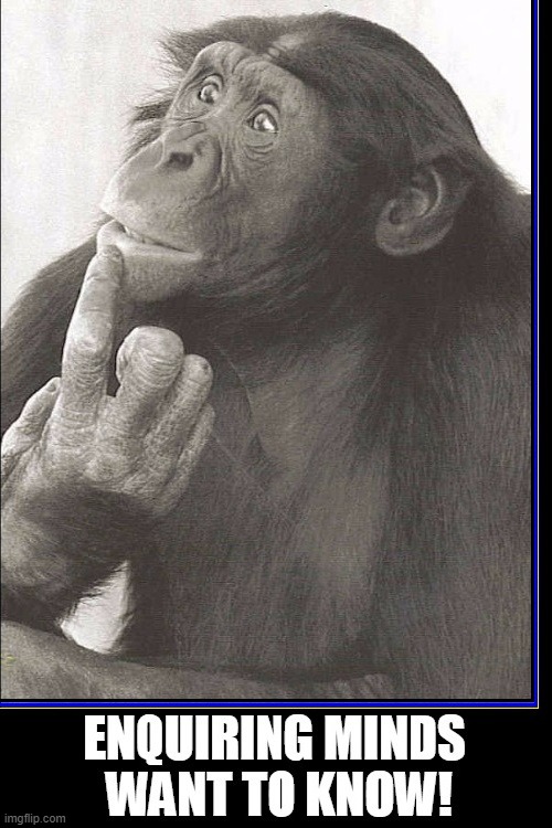 The Question is: What to do with the information after you get it? | image tagged in vince vance,chimpanzee,funny animal memes,curiosity,monkey business,chimps | made w/ Imgflip meme maker