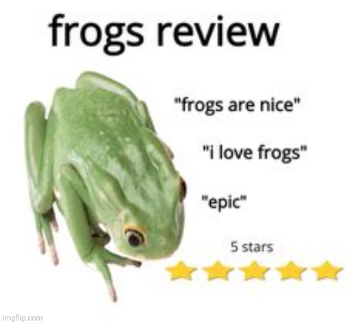 My personal Frog rating: 11037/10 | made w/ Imgflip meme maker