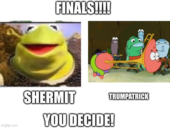 Vote in comments | FINALS!!!! TRUMPATRICK; SHERMIT; YOU DECIDE! | image tagged in blank white template | made w/ Imgflip meme maker