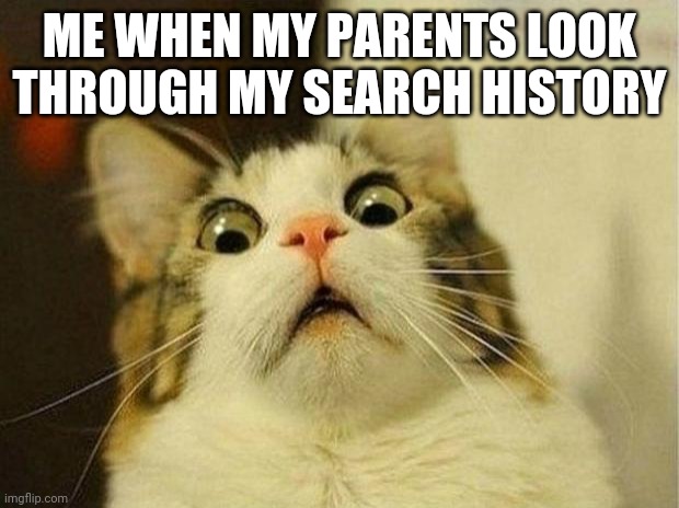 Yeet | ME WHEN MY PARENTS LOOK THROUGH MY SEARCH HISTORY | image tagged in memes,scared cat | made w/ Imgflip meme maker