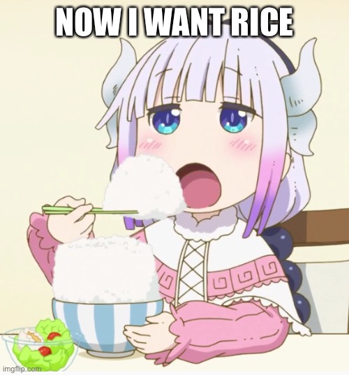 Kanna eating rice | NOW I WANT RICE | image tagged in kanna eating rice | made w/ Imgflip meme maker