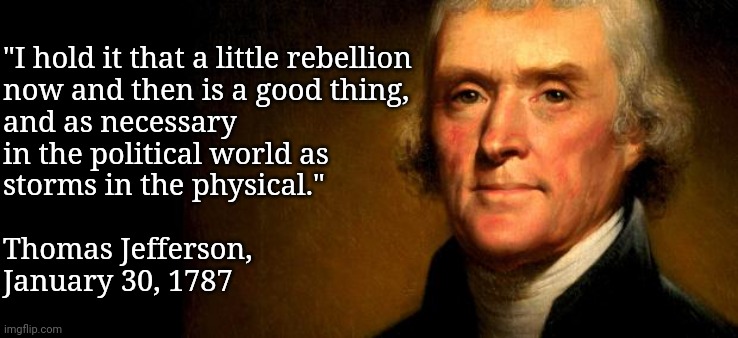 Thomas Jefferson  | "I hold it that a little rebellion
now and then is a good thing,
and as necessary
in the political world as
storms in the physical."
 
Thoma | image tagged in thomas jefferson | made w/ Imgflip meme maker