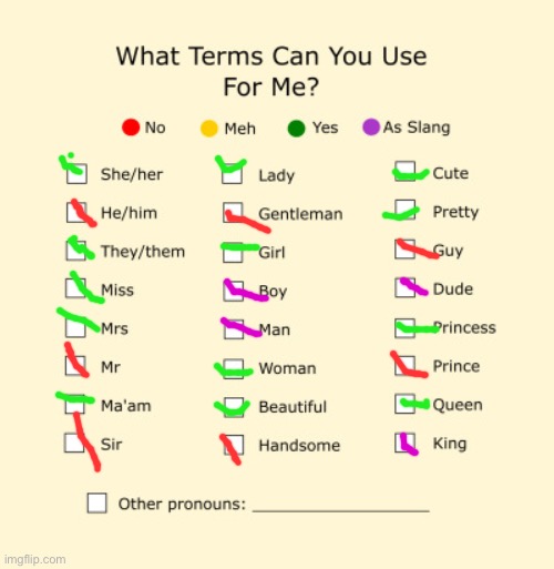 Pronouns Sheet | image tagged in pronouns sheet | made w/ Imgflip meme maker