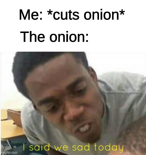 Onion facts | Me: *cuts onion*; The onion: | image tagged in i said we ____ today | made w/ Imgflip meme maker