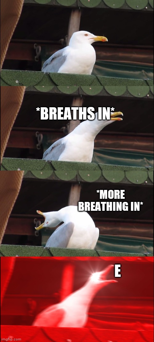 Inhaling Seagull | *BREATHS IN*; *MORE BREATHING IN*; E | image tagged in memes,inhaling seagull | made w/ Imgflip meme maker