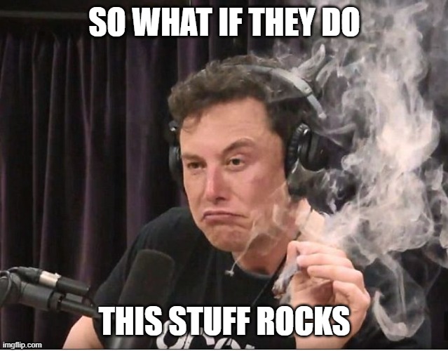 Elon Musk smoking a joint | SO WHAT IF THEY DO THIS STUFF ROCKS | image tagged in elon musk smoking a joint | made w/ Imgflip meme maker