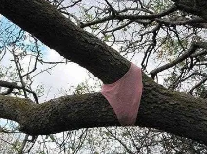 High Quality Tree Crotch Panties Funny Humor Weird Blank Meme Template