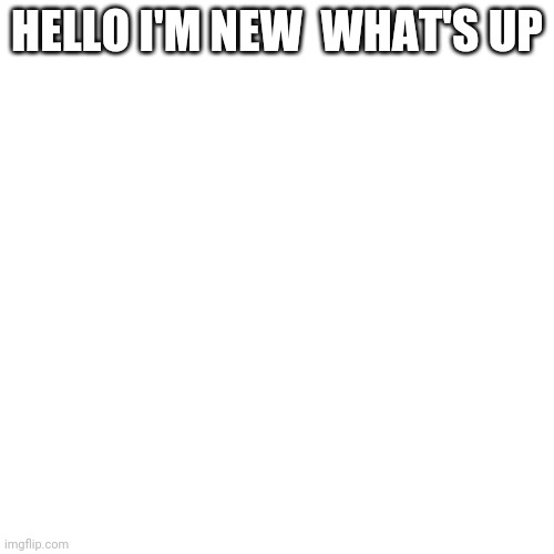 Hi | HELLO I'M NEW  WHAT'S UP | image tagged in memes,blank transparent square | made w/ Imgflip meme maker