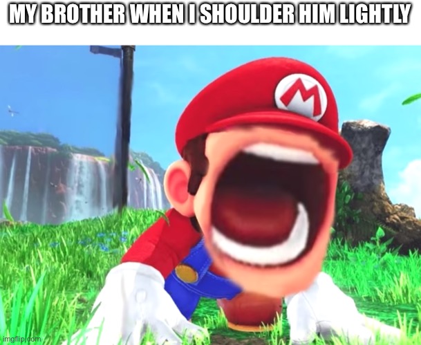 Then the mother comes | MY BROTHER WHEN I SHOULDER HIM LIGHTLY | image tagged in mario screaming,meme is yum | made w/ Imgflip meme maker