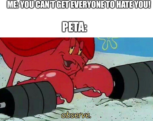 Observe bitch | ME: YOU CAN’T GET EVERYONE TO HATE YOU! PETA: | image tagged in observe | made w/ Imgflip meme maker