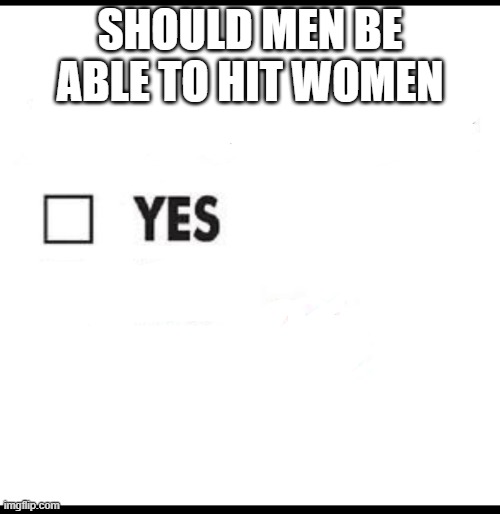 Equal Rights Equal Fights bitches |  SHOULD MEN BE ABLE TO HIT WOMEN | image tagged in check yes or no | made w/ Imgflip meme maker