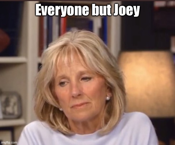 Jill Biden meme | Everyone but Joey | image tagged in jill biden meme | made w/ Imgflip meme maker